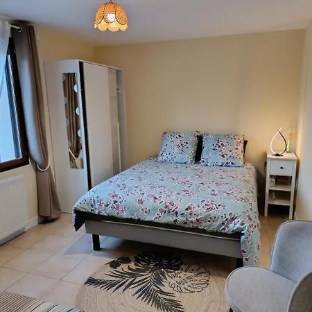 別荘 La Fontaine Du Pas, Dans Villa, 2 Piscine 11x5 Mauvezin-sur-Gupie