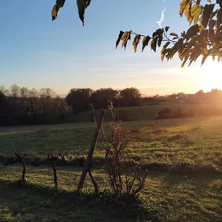 La Fontaine Du Pas, Dans Villa, 2 Piscine Privee * Mauvezin-sur-Gupie