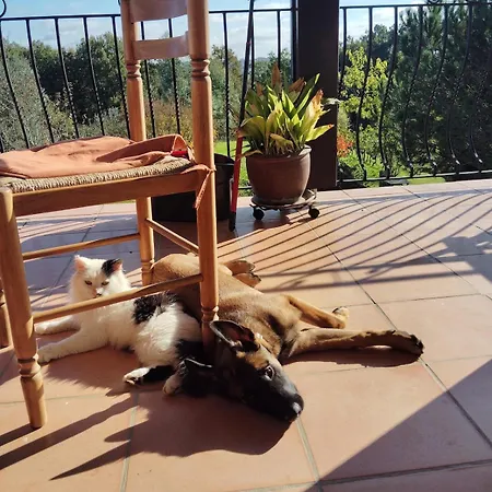 La Fontaine Du Pas, Dans Villa, 2 Piscine 11x5 * Mauvezin-sur-Gupie