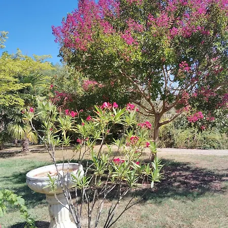 La Fontaine Du Pas, Dans Villa, 2 Piscine 11x5 別荘 Mauvezin-sur-Gupie