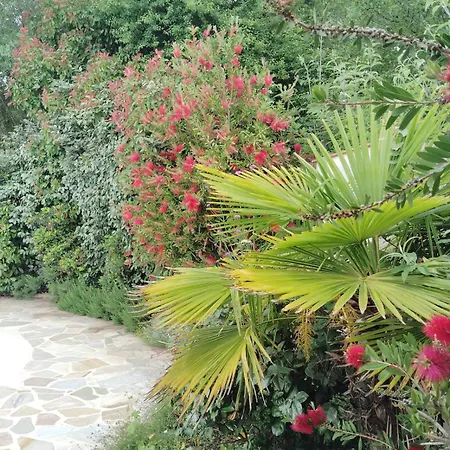 La Fontaine Du Pas, Dans Villa, 2 Piscine 11x5 *