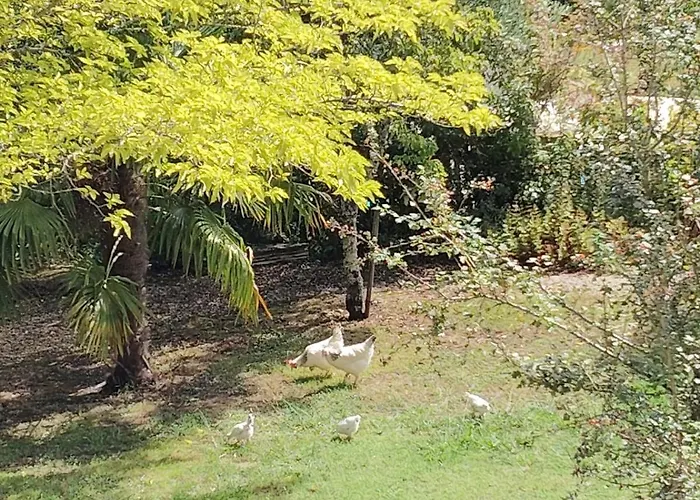 Дом отдыха La Fontaine Du Pas, Dans Villa, 2 Piscine Privee